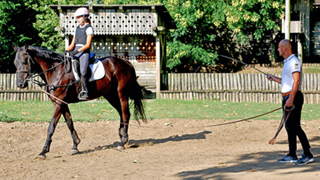 woman-horse-man